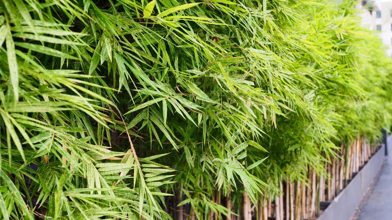 usine boutique -usine boutique 1596061477014